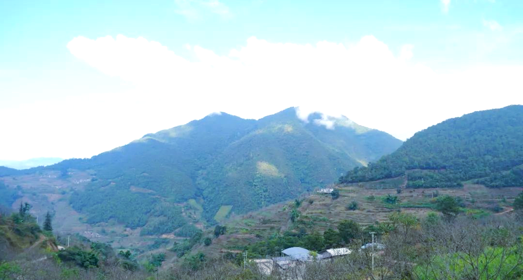 景东县文龙镇勐涝村的年猪盛宴:感受乡村的烟火气息与乡愁情愫