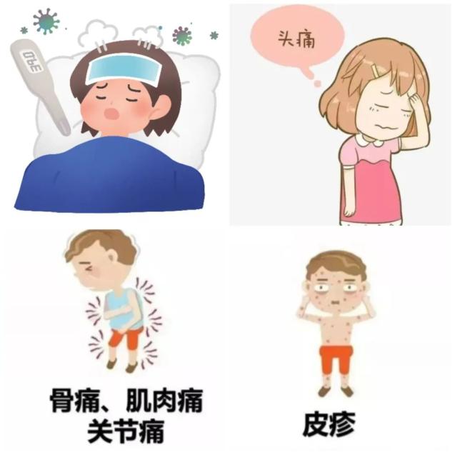 健康科普 | 登革热预防要点