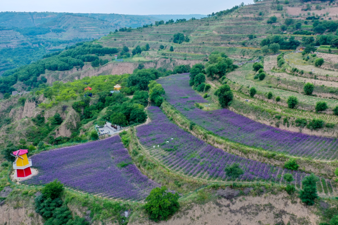 崆峒区乡村旅游以农文旅融合促进民族团结进步一