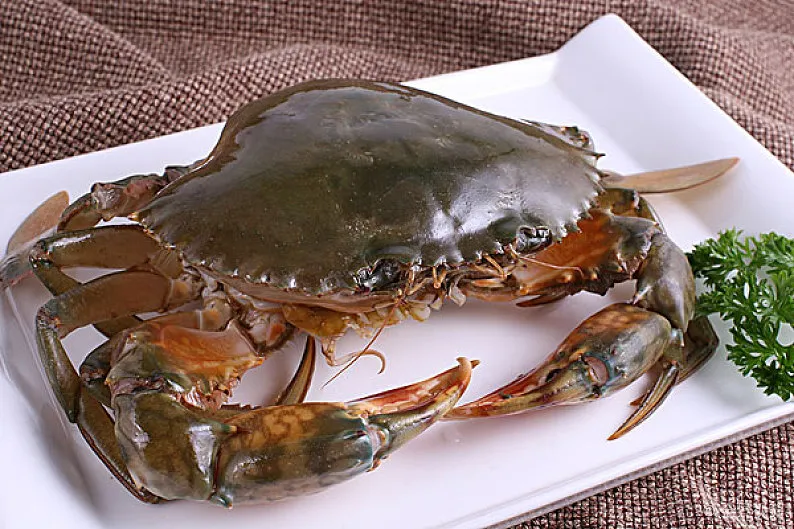 螃蟹怎么洗才干净?