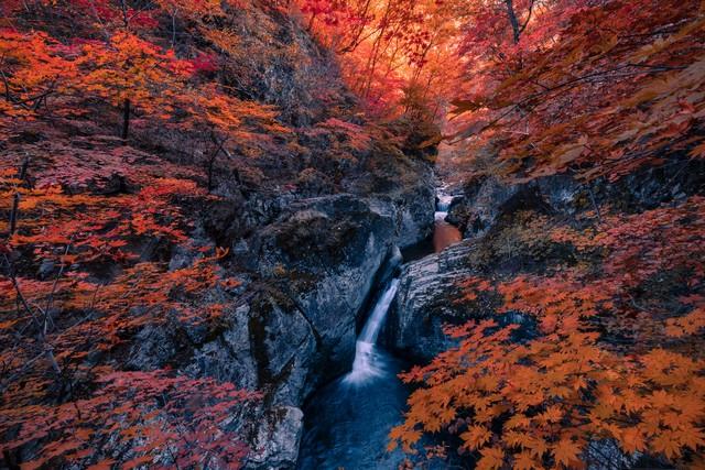 探秘地球瑰宝,喀拉峻大峡谷,感受自然奇观的魅力