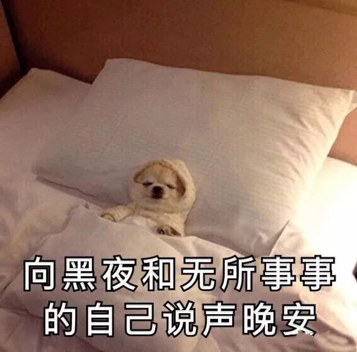 晚安图片搞笑 心语图片