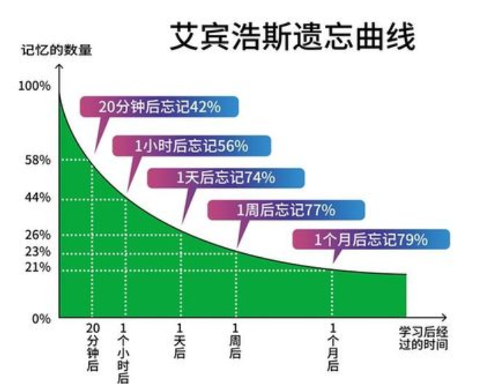 遗忘曲线的规律是什么