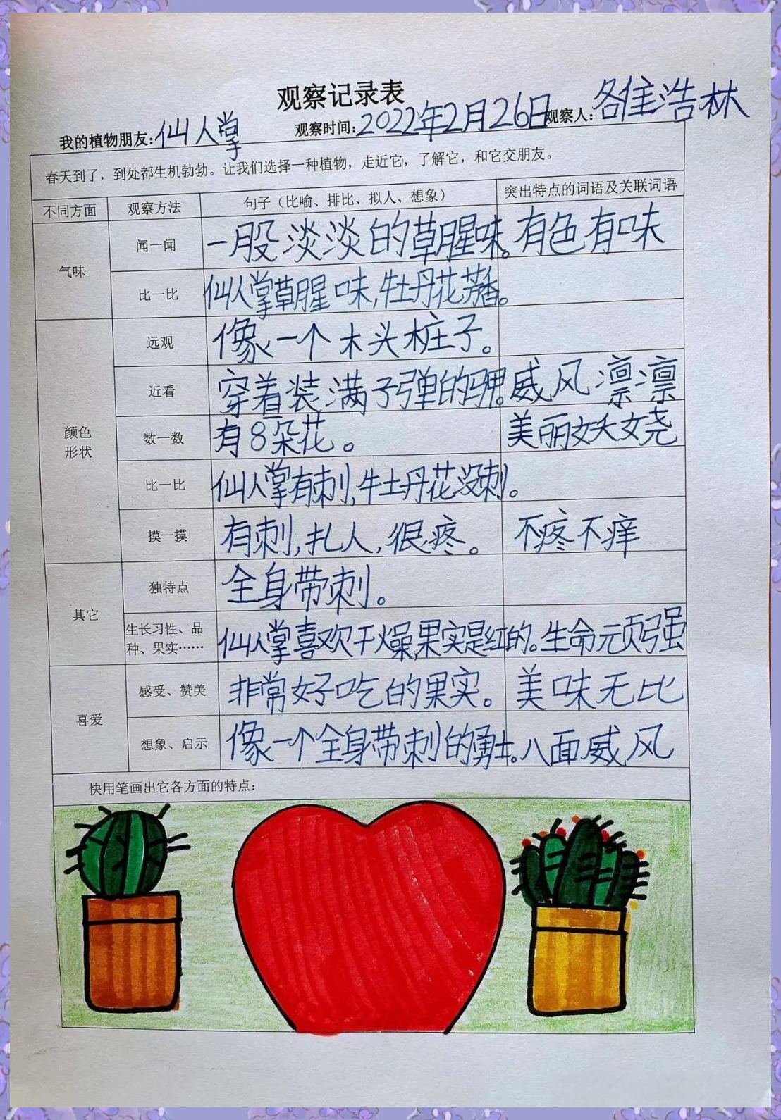 二年级科学植物的生长过程观察记录(二年级科学植物的生长过程观察记录单)