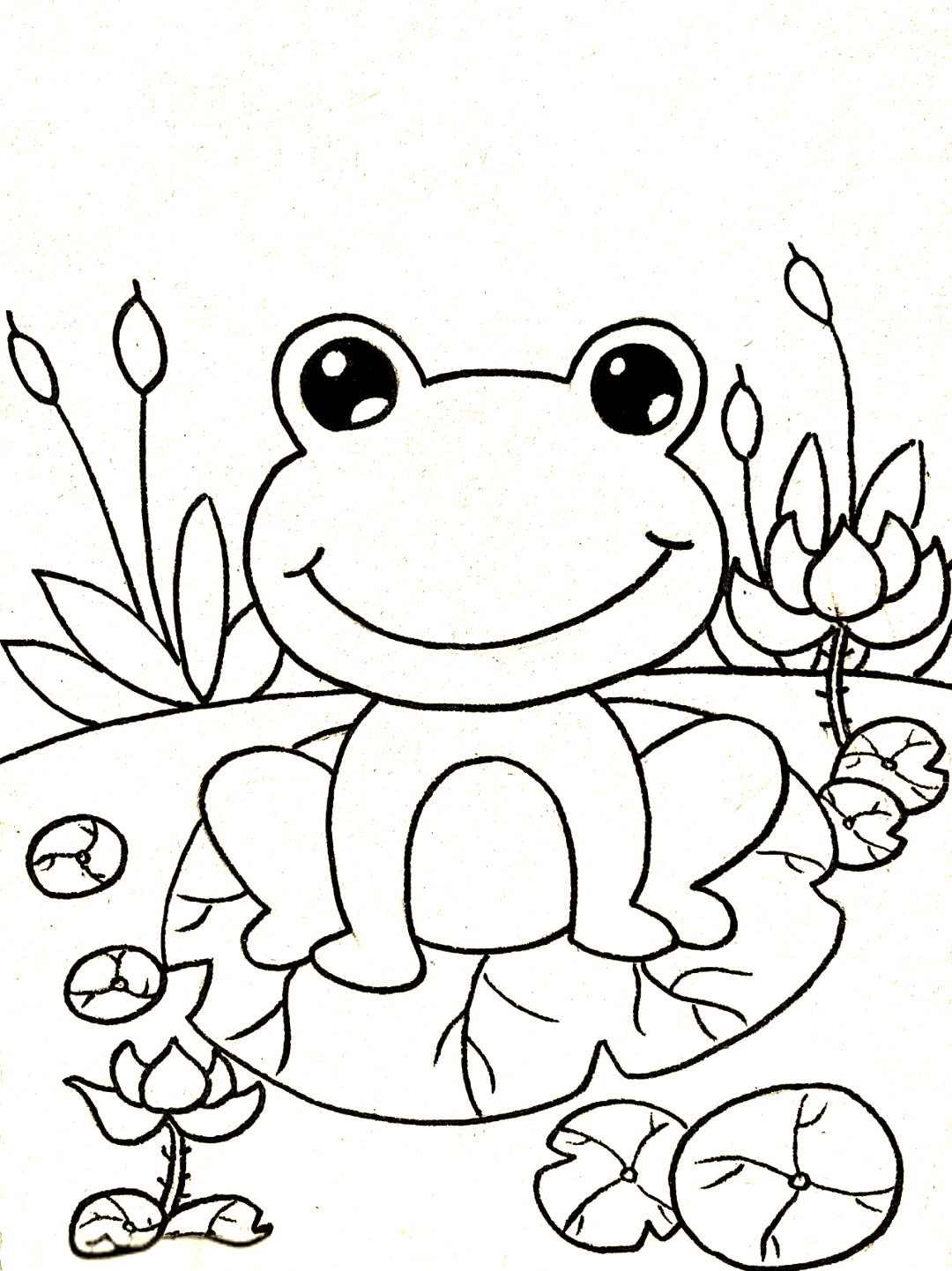 简笔画教程:如何绘制池塘中的青蛙?