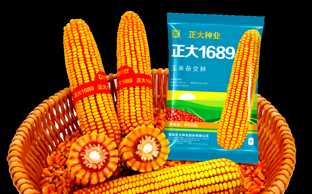 正大种业在2023年中国玉米种业中脱颖而出,荣获前十强称号!