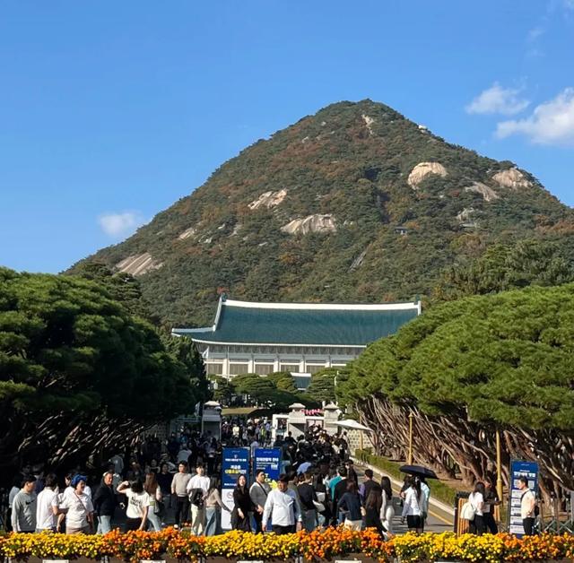 韩国青瓦台里有中国结,室内铺红毯,吊灯金灿灿的,室外是青色