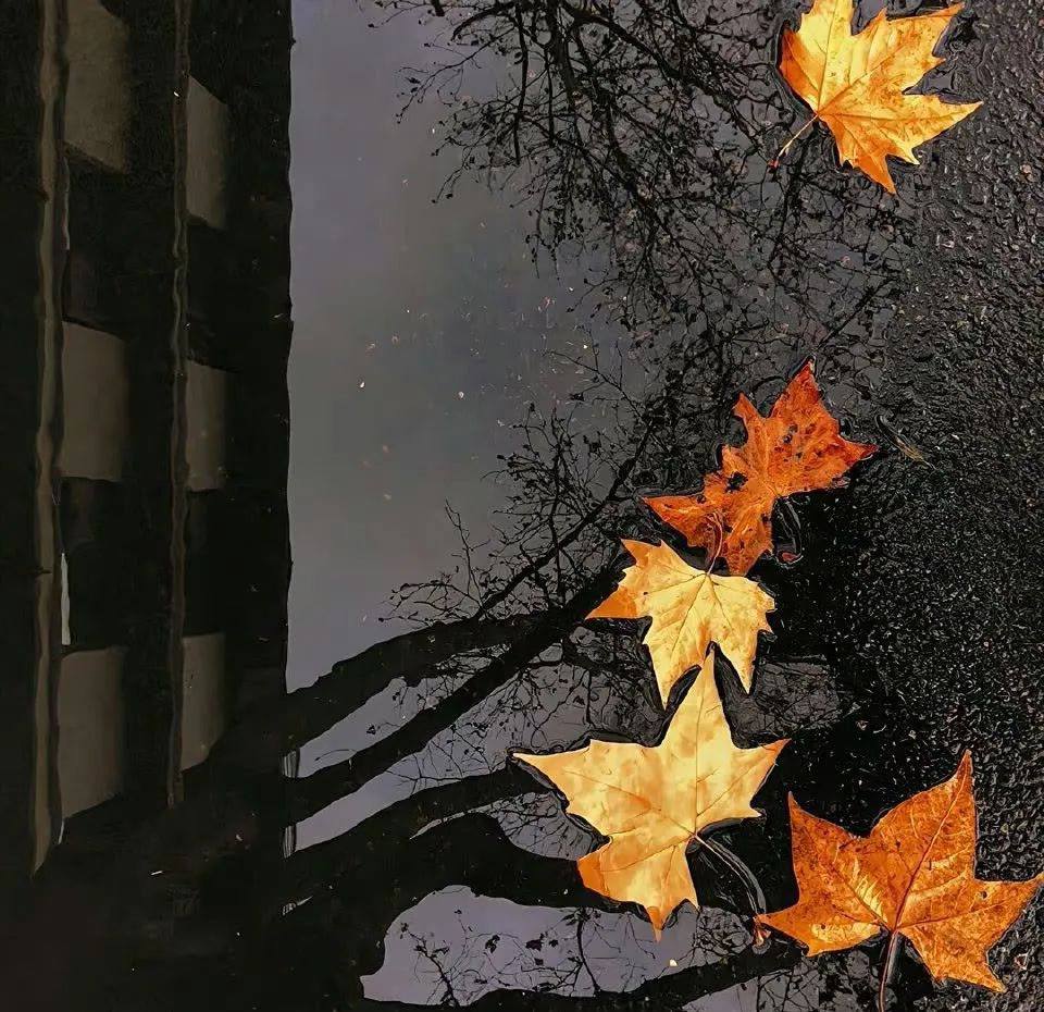 多款高级感ins小众背景图精选