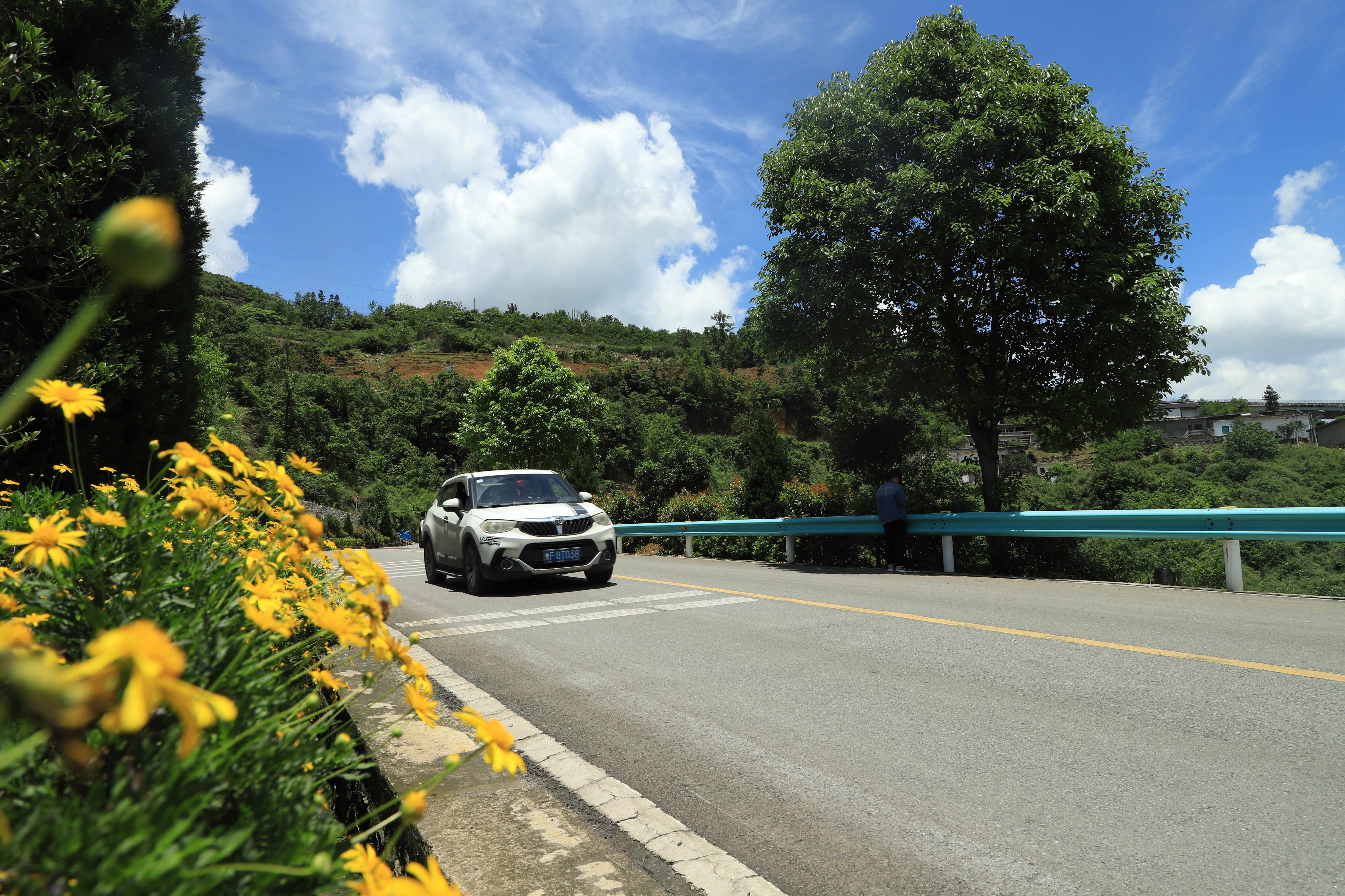 绿色出行!省道309线一路生花