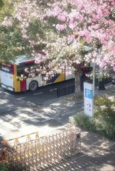 韩国网友偷广州街景图称是首尔！浏览破百万后引争议删除
