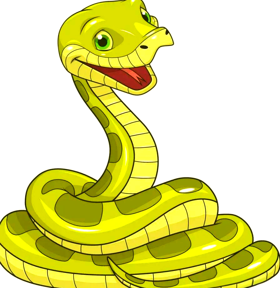 金花蛇的空中飞行之谜:揭秘蛇如何掌握"空气动力学"