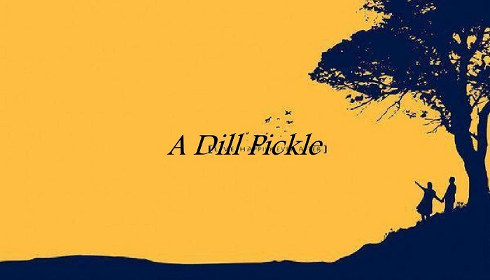 a dill pickle课文翻译