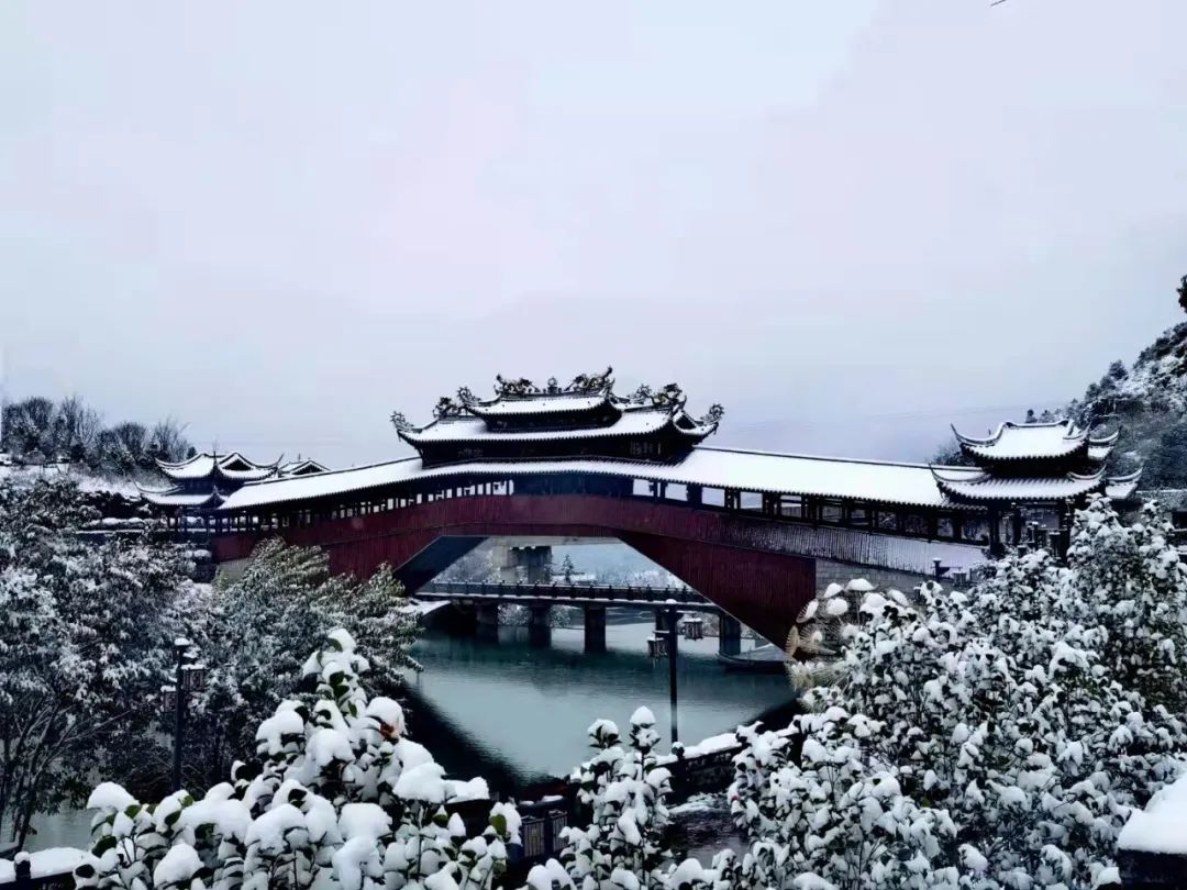 南方的人,什么样的幸运才能连遇两场雪,2022,在泰顺的人也太幸福了