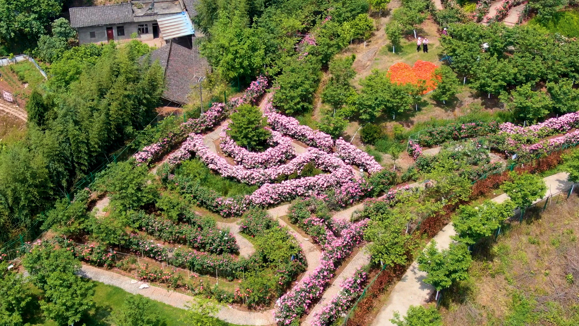 高坪区澜岭江花景区图片