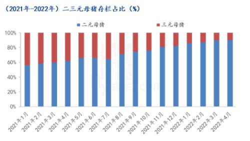 Mysteel解读：猪价上涨后的反链反应