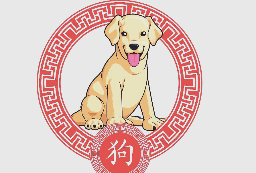 庚子年生肖狗每月运势(庚子年属狗人的运势)