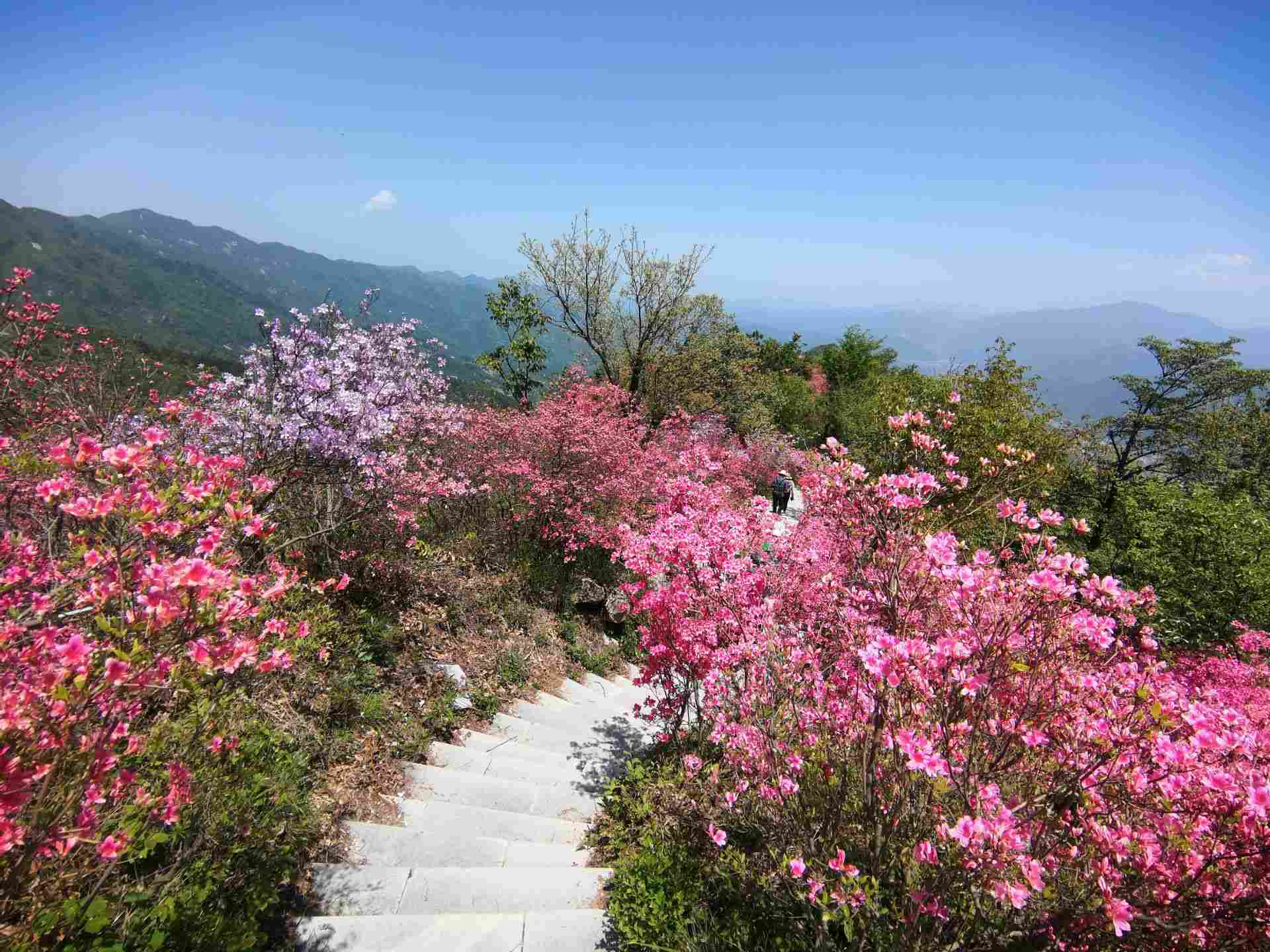 英山旅游景点大全