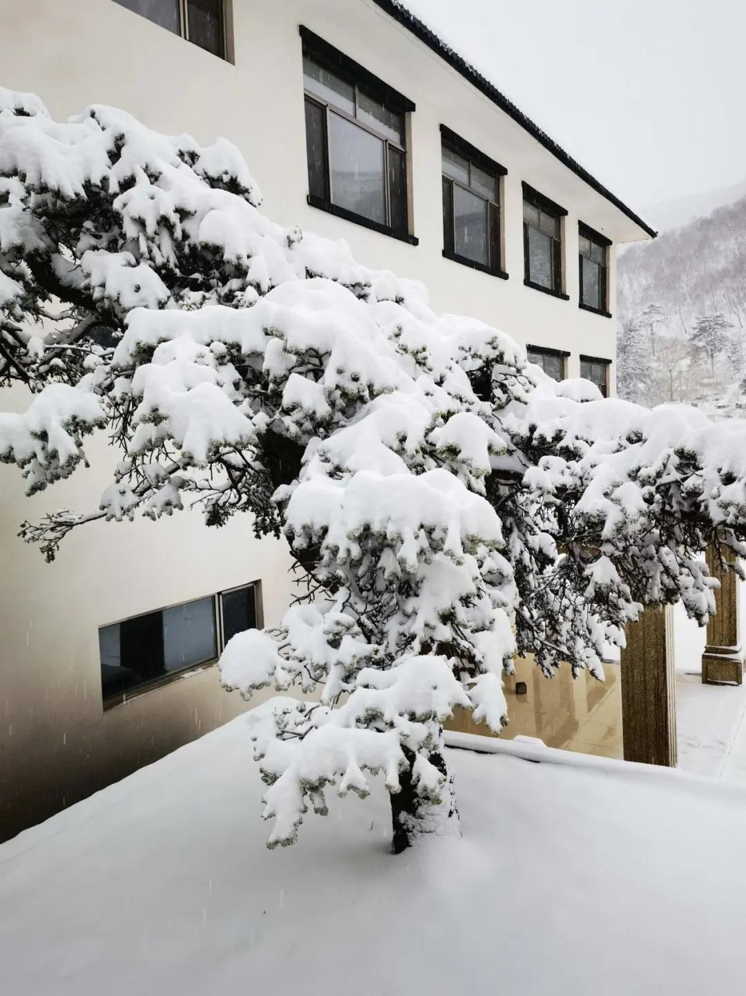 北京门头沟今天下雪了