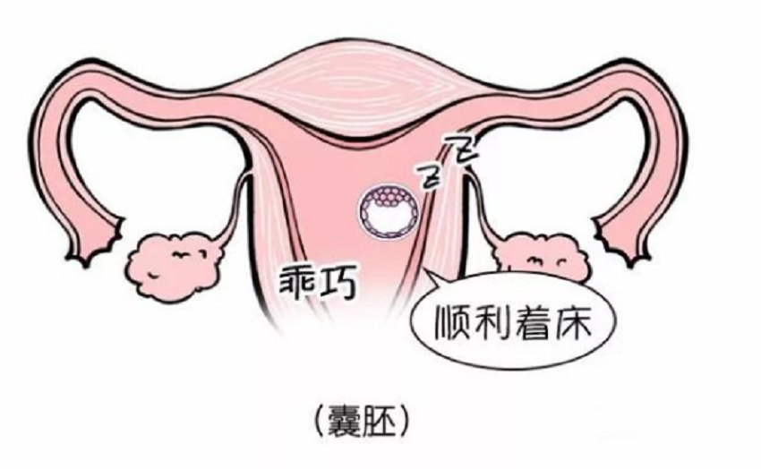 着床 透露图片