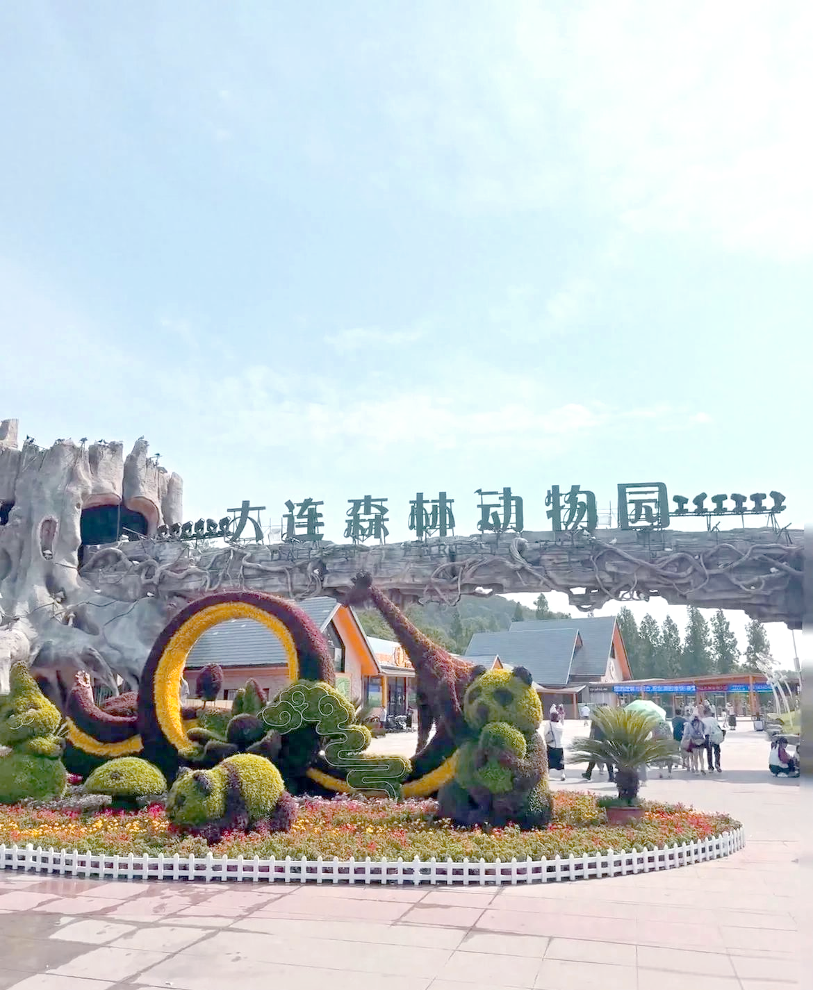 大连森林动物园:家庭游玩与科普教育的绝佳去处