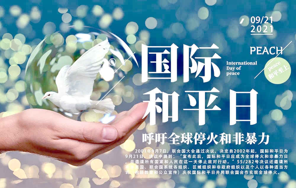 国际和平日:青年,教育与可持续和平的探讨