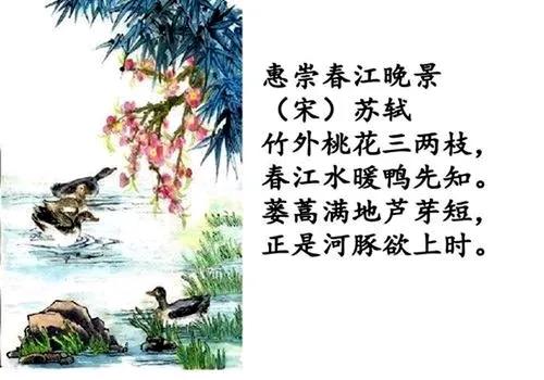 古詩《惠崇春江晚景》教學設計,竹外桃花三兩枝,春江水暖鴨先知