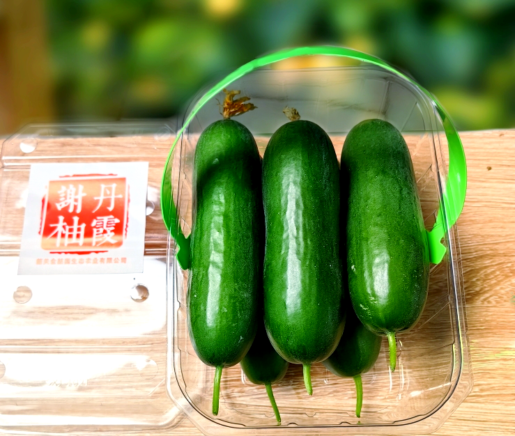 上过太空的黄瓜种子,结出的果实更美味
