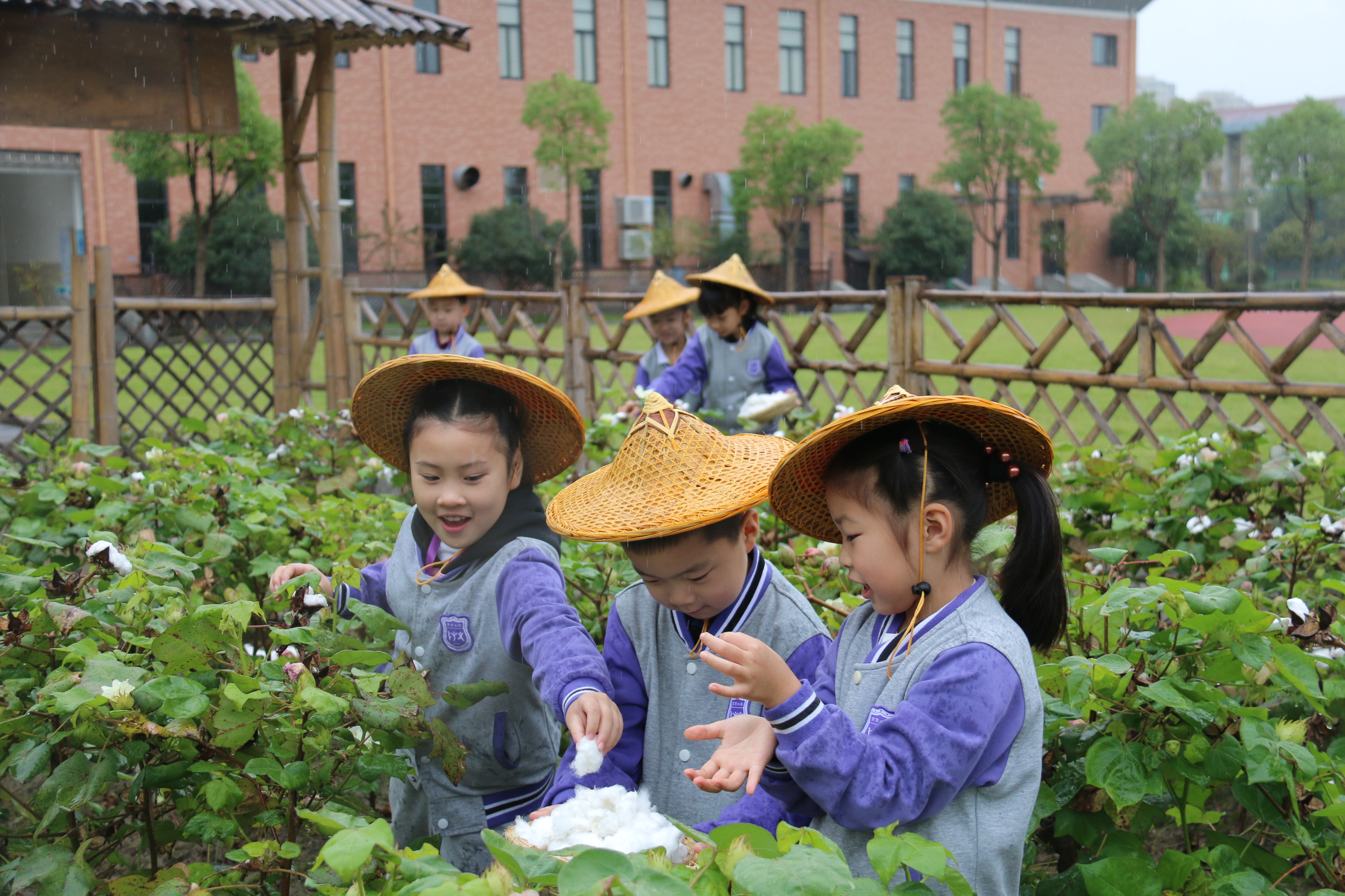 奉贤育贤小学图片