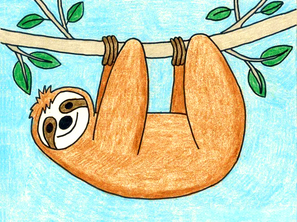 多种树懒简笔画教程合集