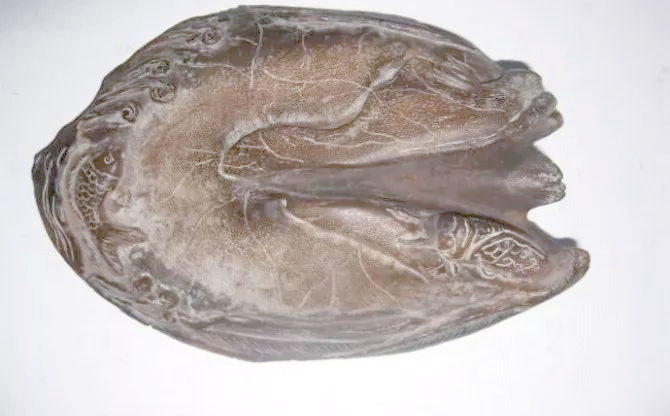 犀牛角真假鉴别全攻略,助你成为鉴别专家!