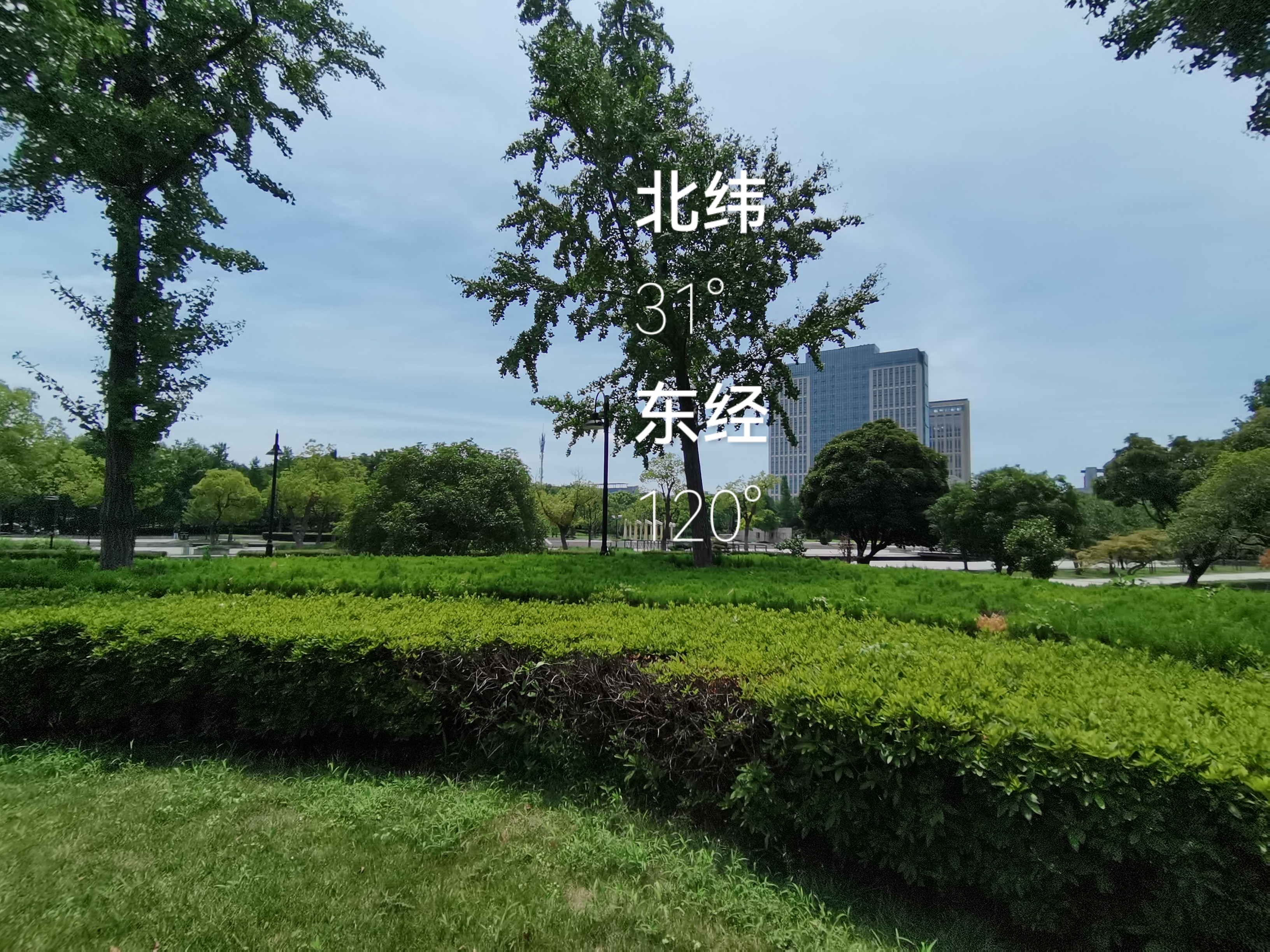 桐泾公园站 美景图片