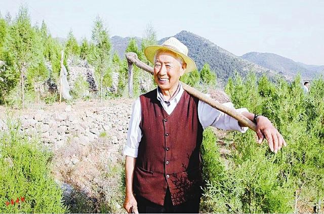 刘科岐:20多年坚守播绿梦想 荒山如今变绿地