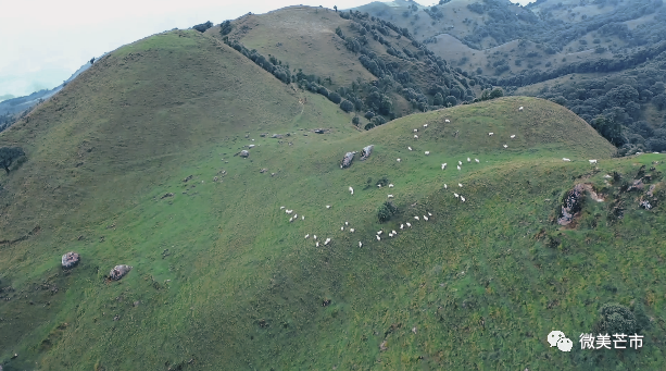 今天一起带大家去素有"芒市小瑞士"美称的风平苤菜坝