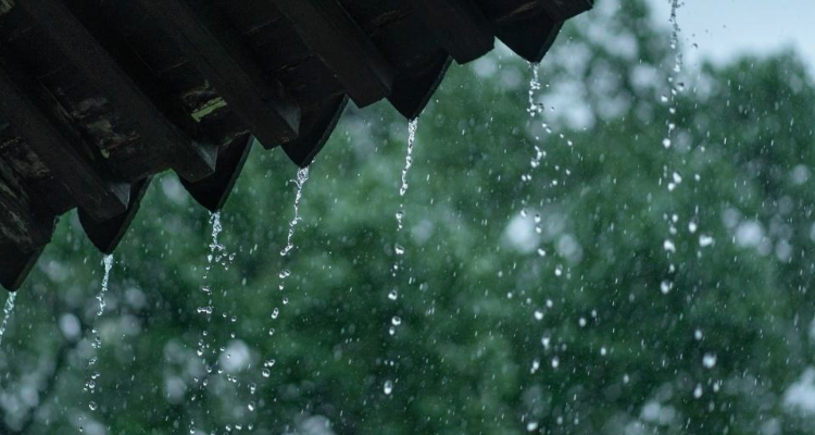 下雨天的诗句优美诗词