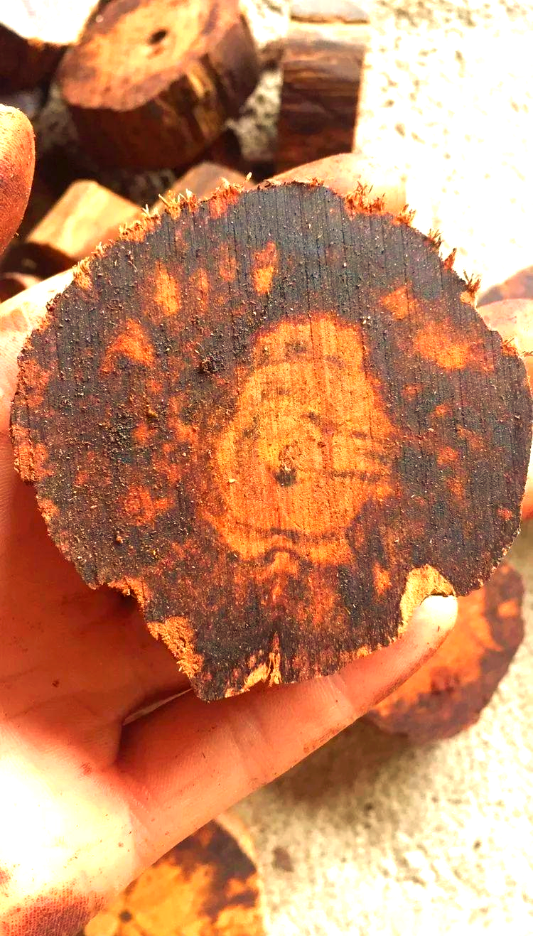 揭秘小叶降真香黄油料中的骗局与真相