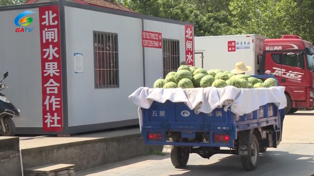 公安县埠河镇:特色产业敲开乡村振兴"甜蜜门"