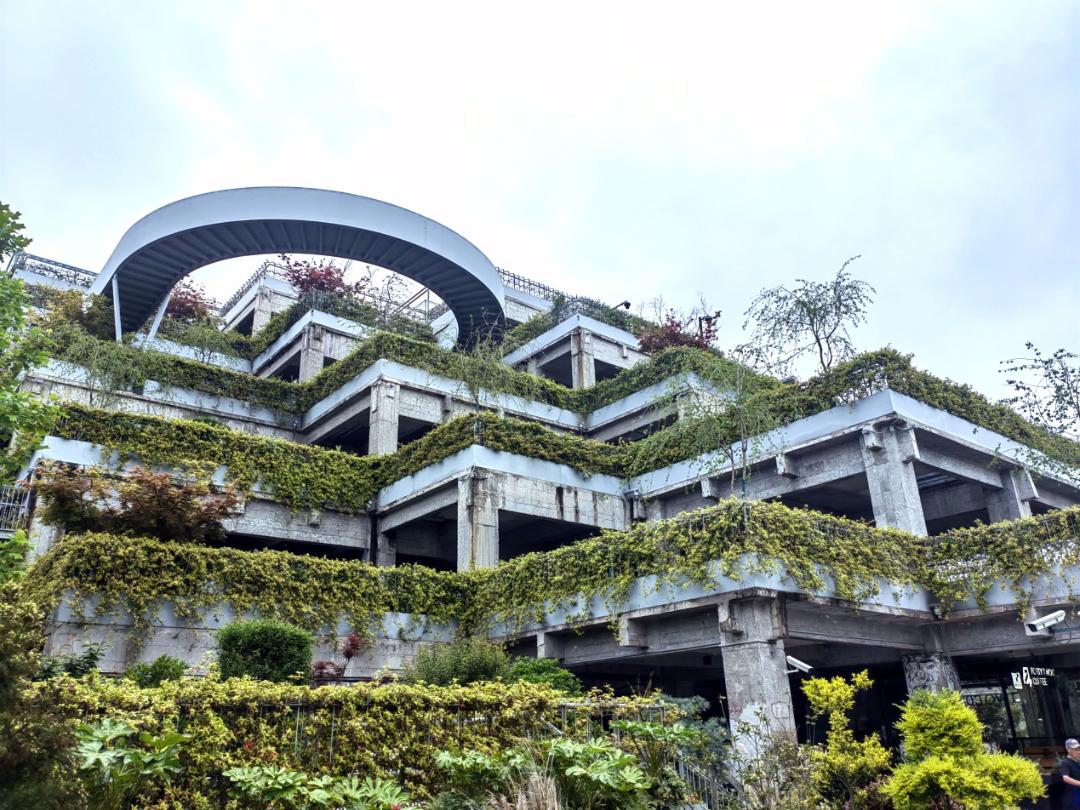 【探索】公园城市建设中的立体绿化,你知道哪些?