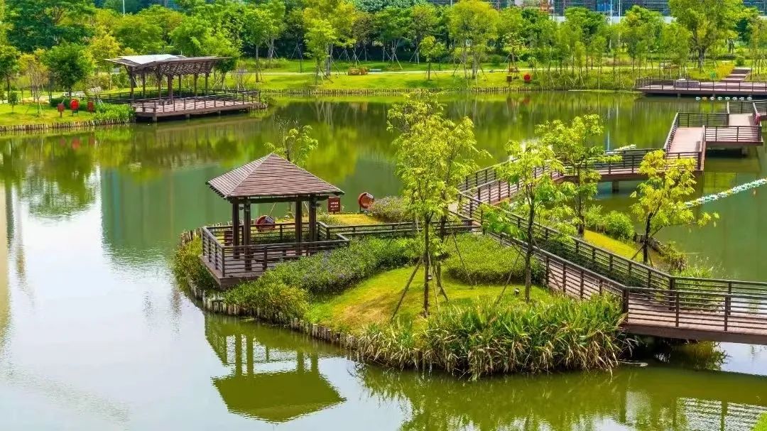 佛山50公里徒步这些宝藏景点等你来打卡