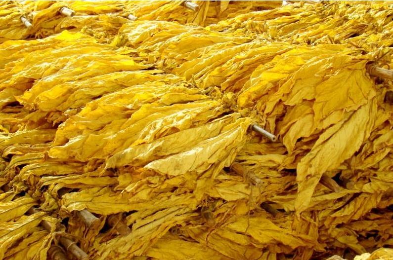淘宝商家私自售卖烟丝烟叶等烟草专卖品 违法商家为何屡禁不止
