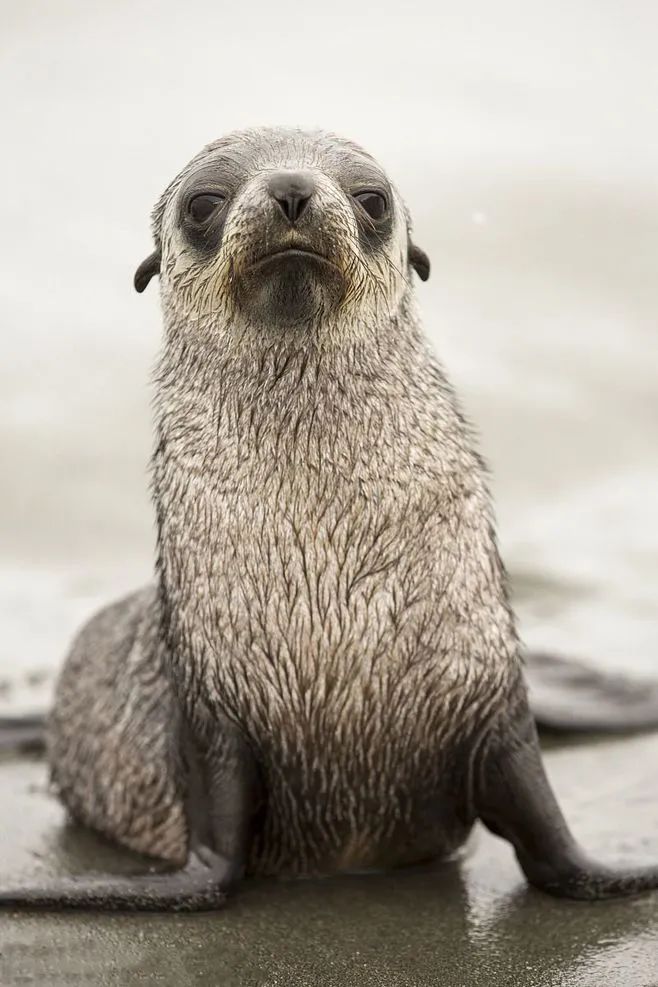 不正经科普:这才是真正的弹性皮肤