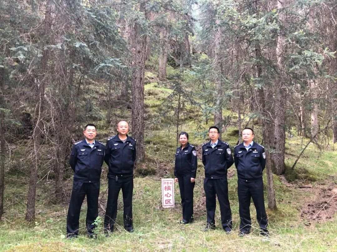 森林派出所的那些事