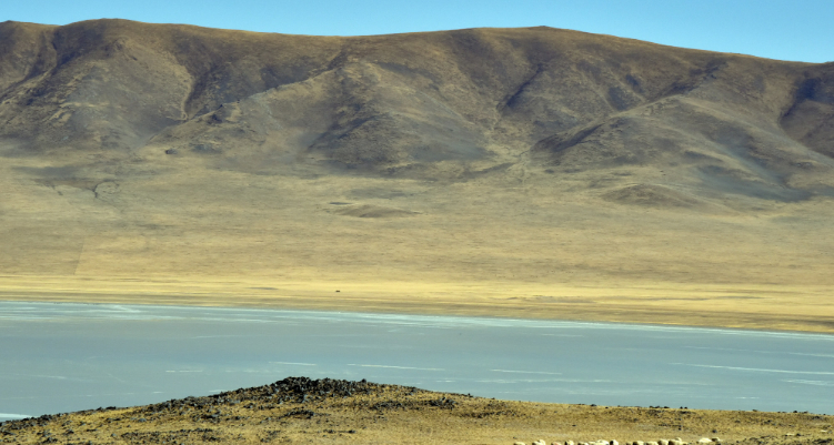 z917列车沿途风景