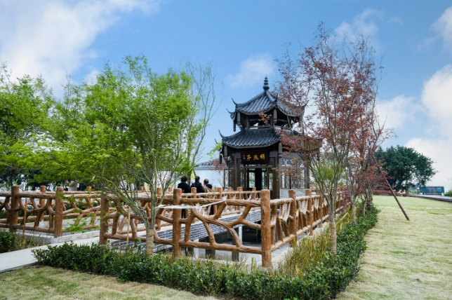一抹"纯白"装点青山 隆昌圣灯镇天峰山梨花正在盛放