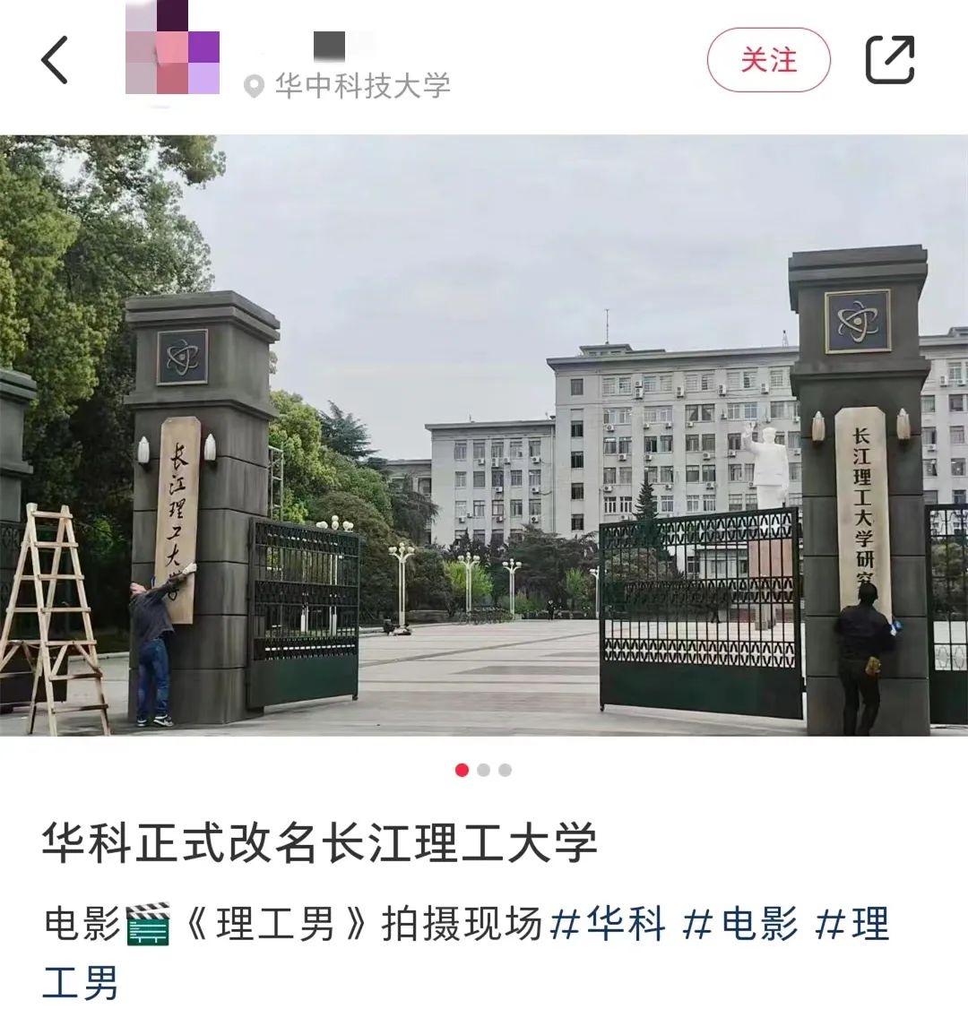 1037号森林图片