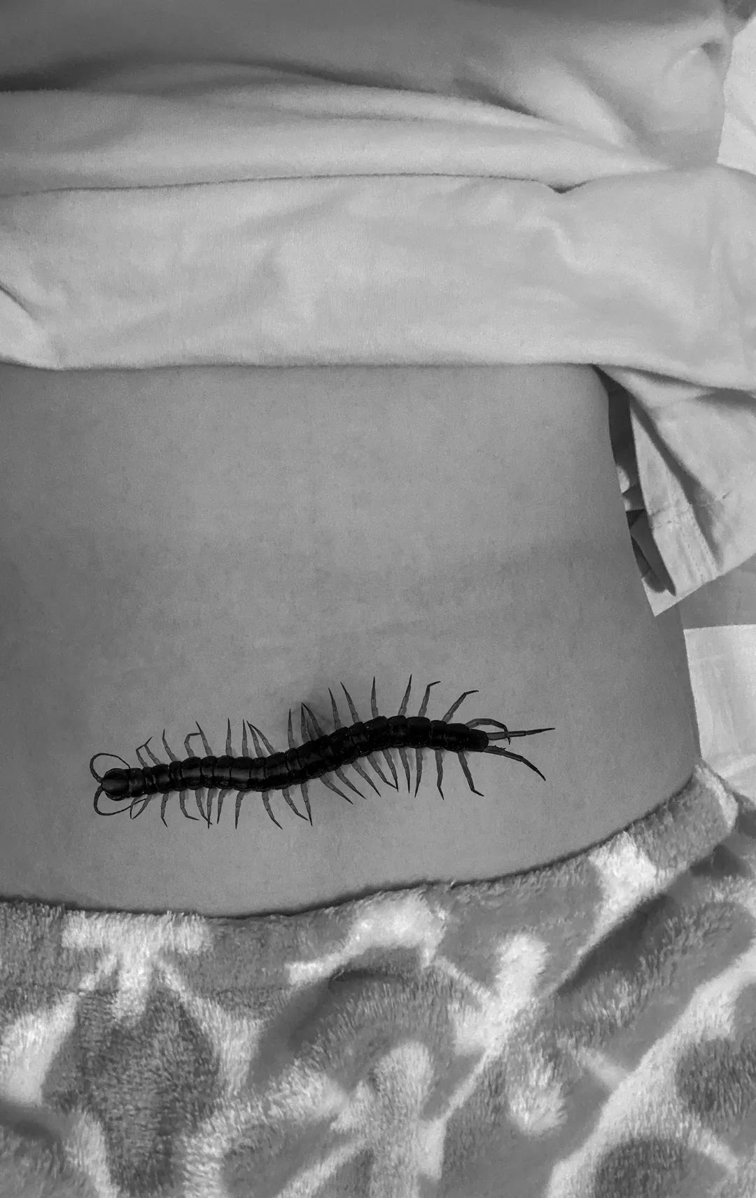 回声 echo|黄嘉慧:创作从身边人入手