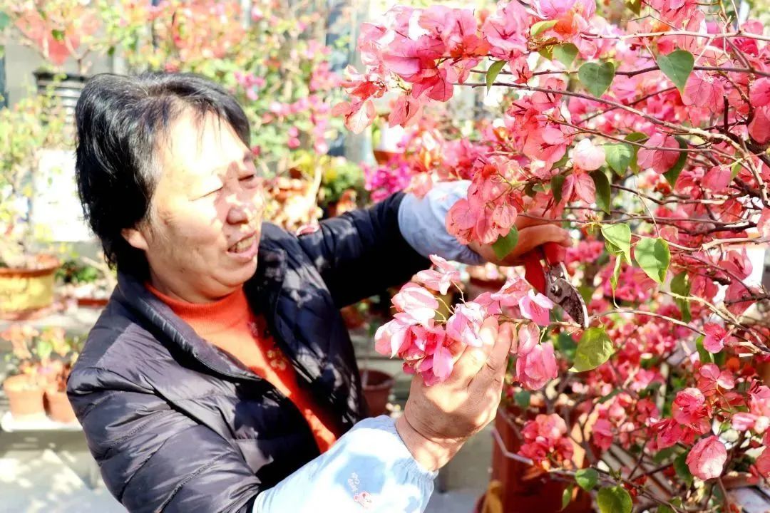 今天花朝节!一起来赏红祈福.
