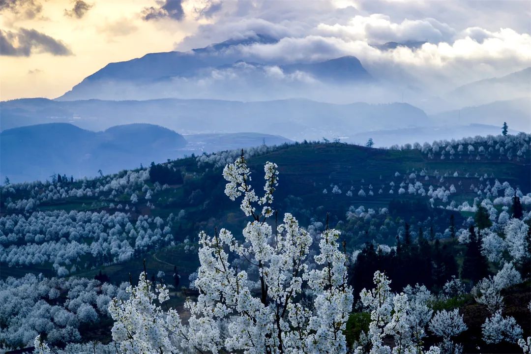 乐享云南|美景·个旧加级寨梨花谷