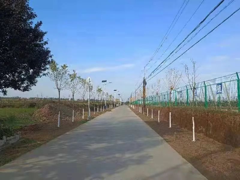 崇信县木林乡扎实开展秋季植树造林工作