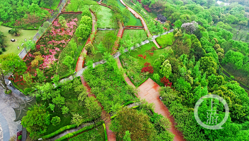 重庆市北碚植物园图片