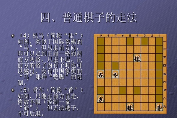 将棋规则图片